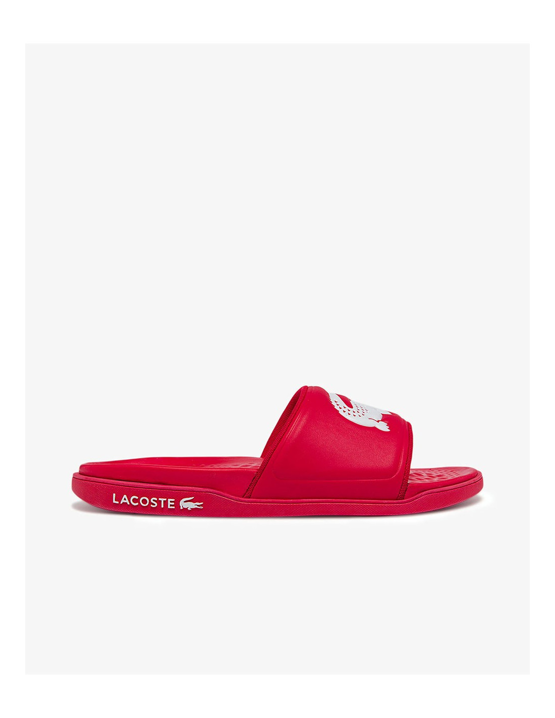 Infradito lacoste new arrivals