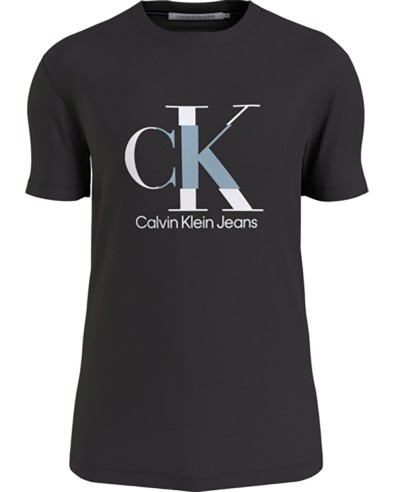 CALVIN KLEIN J30J323299 - Camiseta