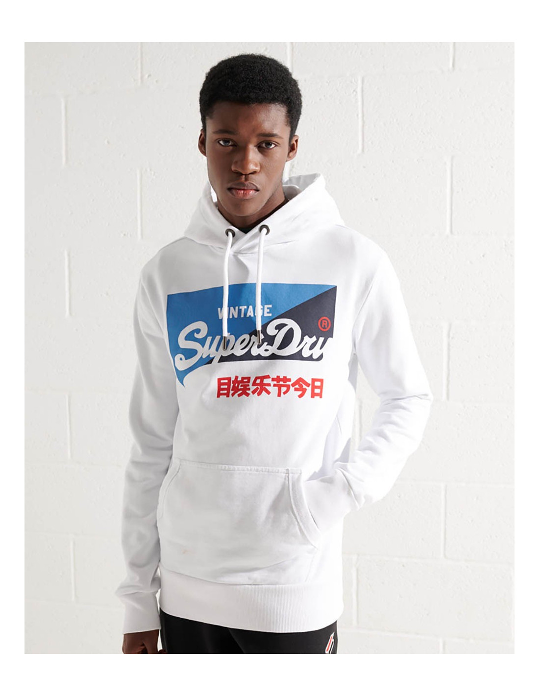 https://dakonda.com/358320-thickbox_default/superdry-original-primary-vintage-logo-moletom.jpg