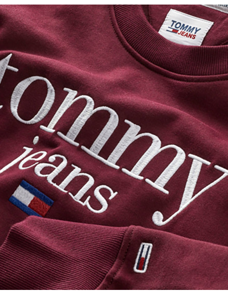 TOMMY HILFIGER DM0DM15029 - Sudadera