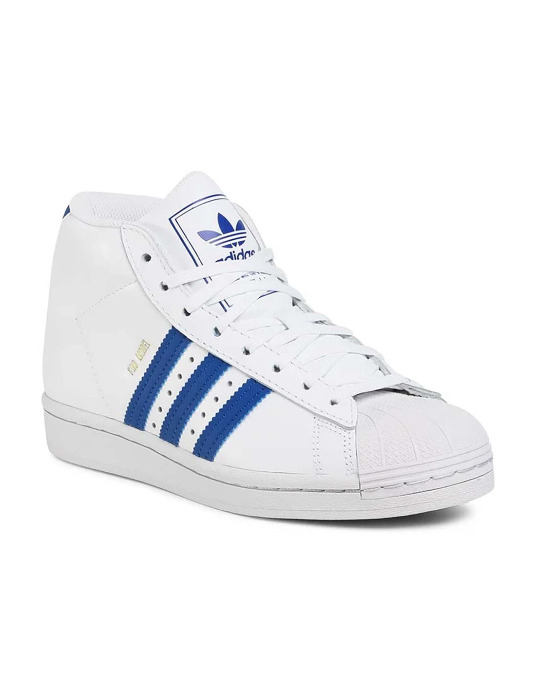 Modello ADIDAS Pro Scarpe da ginnastica