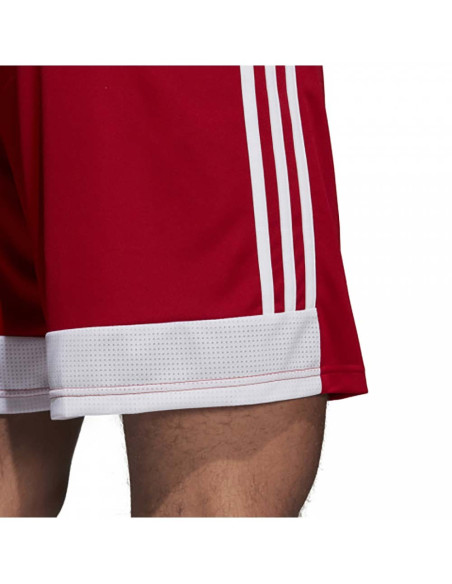 ADIDAS Tastigo 19 - Shorts