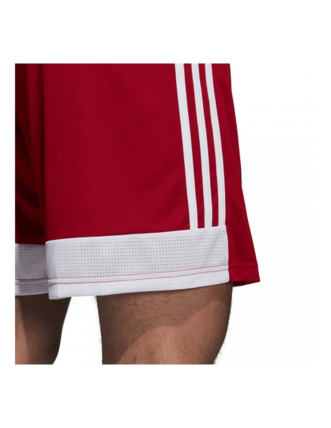 Tastigo shorts deals