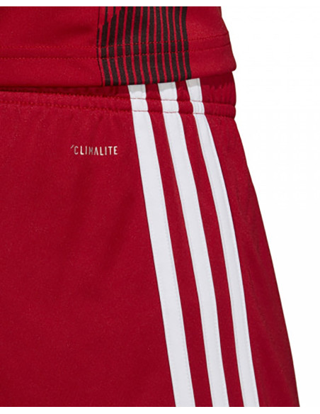 ADIDAS Tastigo 19 - Shorts