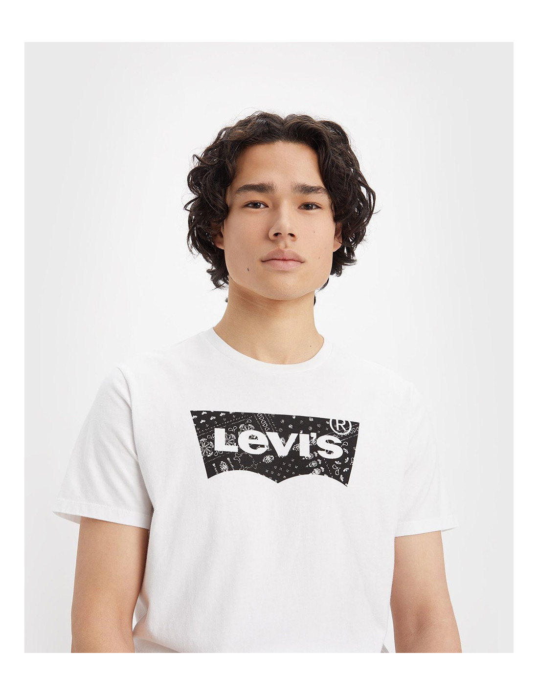 Tシャツ・カットソー Levi's TSHIRT (22491) LEVI´S 22491 - T-shirt