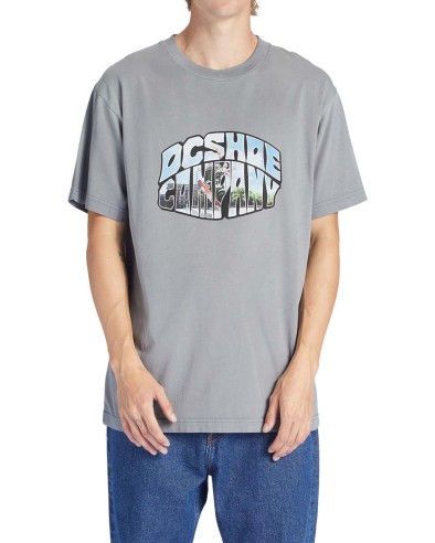DC SHOES Citywide - Camiseta