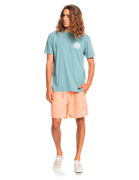 QUIKSILVER Promote The Stoke - T-Shirt