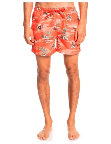 QUIKSILVER Everyday Scenic Volley 15 Boardshorts