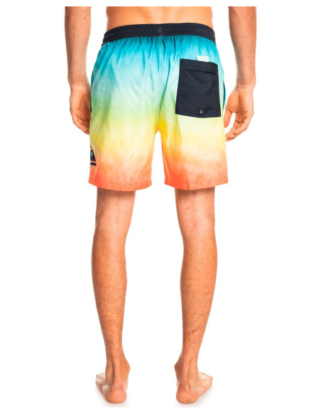 QUIKSILVER Everyday Faded Logo Volley 17 Boardshorts