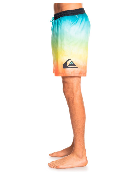 QUIKSILVER Everyday Faded Logo Volley 17 Boardshorts