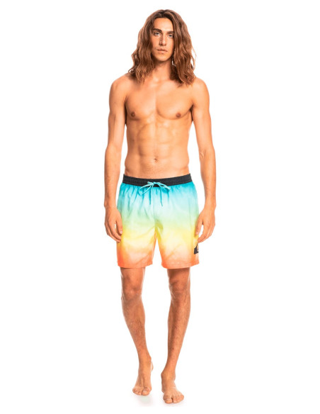 QUIKSILVER Everyday Faded Logo Volley 17 Boardshorts