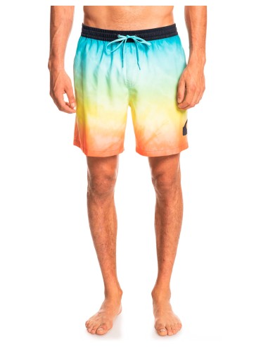 QUIKSILVER Everyday Faded Logo Volley 17 Boardshorts