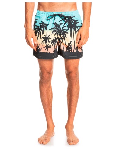 QUIKSILVER Everyday Paradise Volley 15 Swimsuit