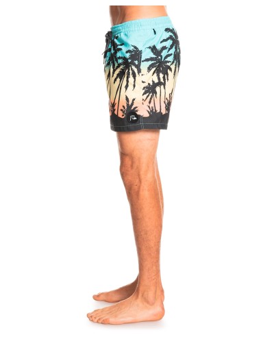 QUIKSILVER Everyday Paradise Volley 15 Badeanzug