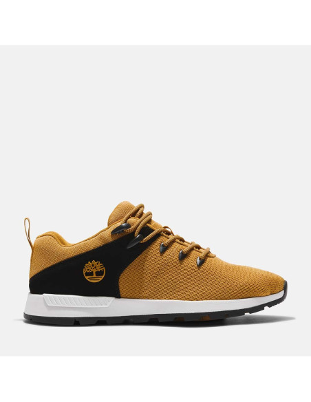 TIMBERLAND Sprint Trekker Low Knit - Chaussure
