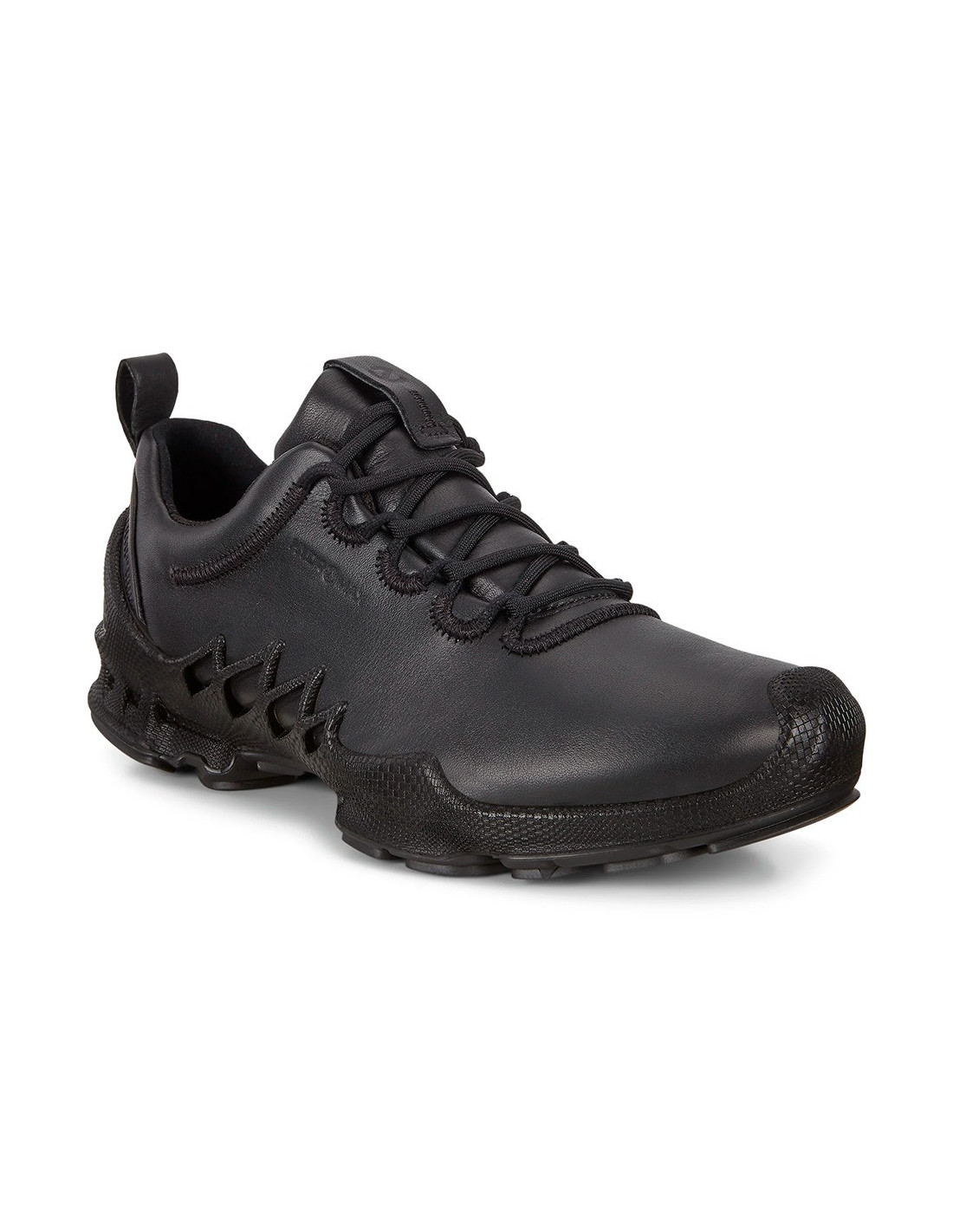 Ecco best sale biom a