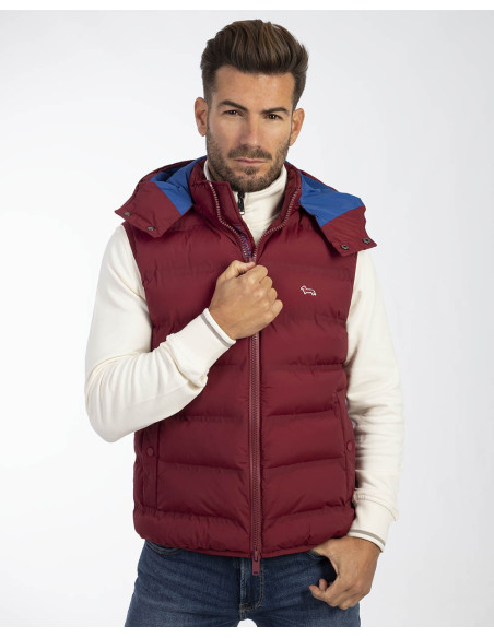 HARMONT & BLAINE K0K2090405862 - Vest