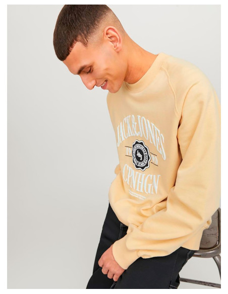 JACK & JONES 12252052 - Sweatshirt
