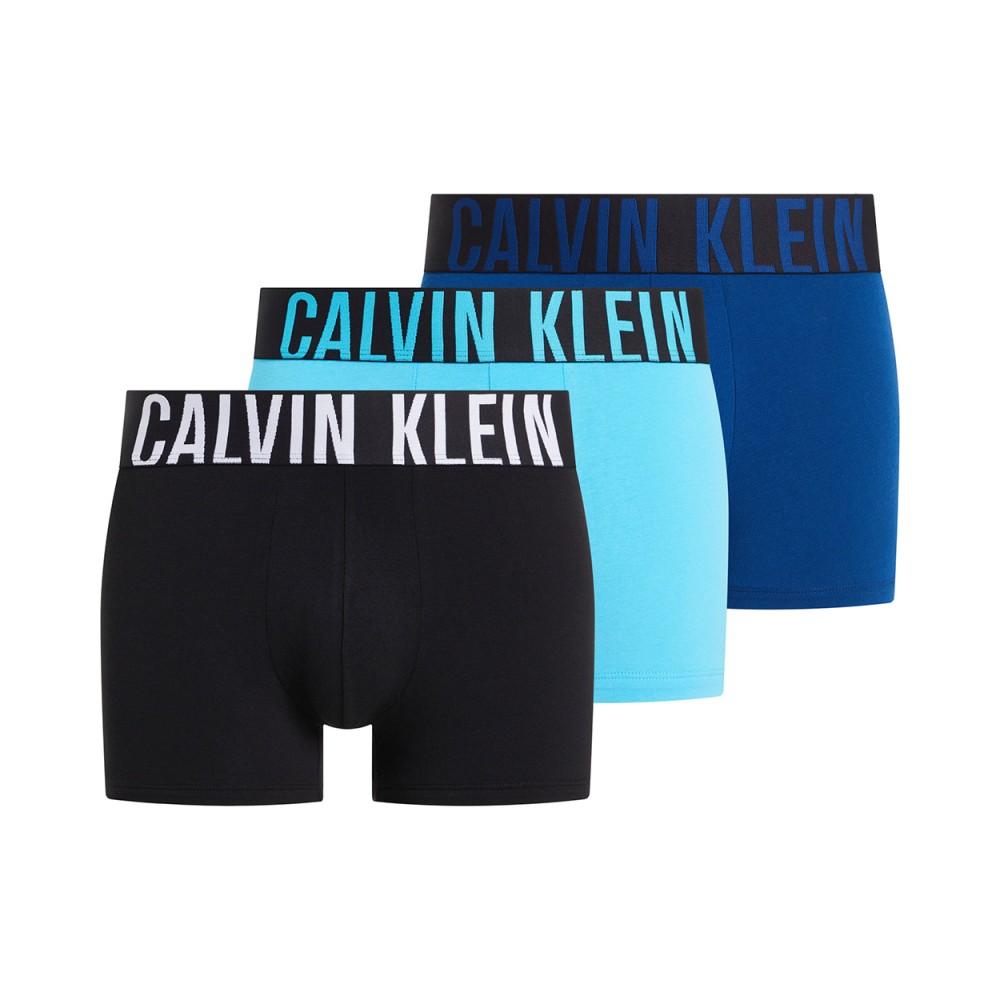 CALVIN KLEIN 000NB3608A - Boxers