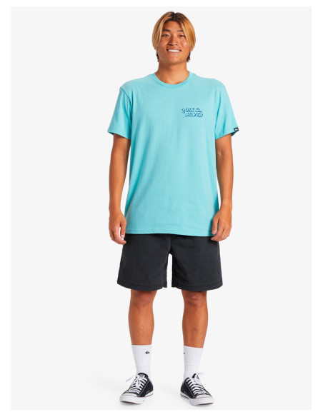 QUIKSILVER Taxer – Shorts