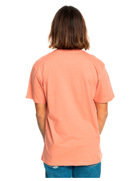 QUIKSILVER Troprainbowss - T-Shirt