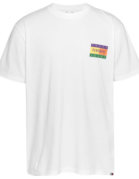 TOMMY HILFIGER DM0DM19171 - Camiseta