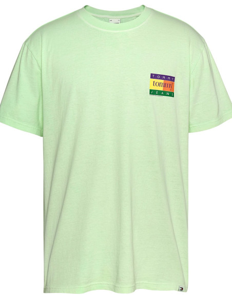 TOMMY HILFIGER DM0DM19171 - Camiseta