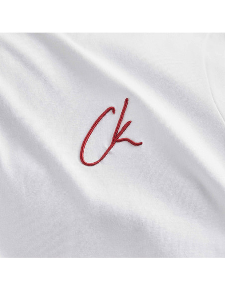 CALVIN KLEIN J20J224439 - Camiseta