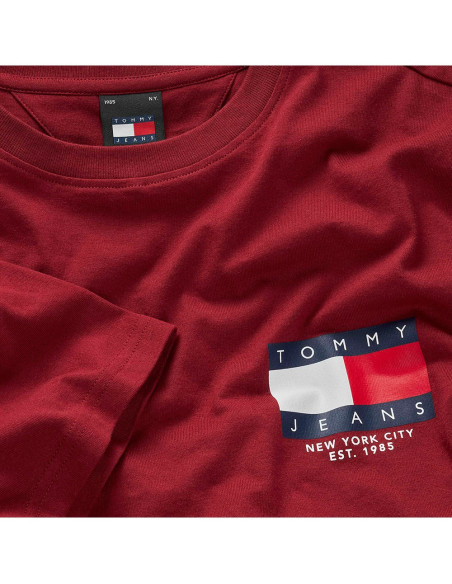 TOMMY HILFIGER DM0DM19695 - Camiseta