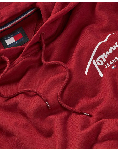 TOMMY HILFIGER DM0DM19229 - Sudadera