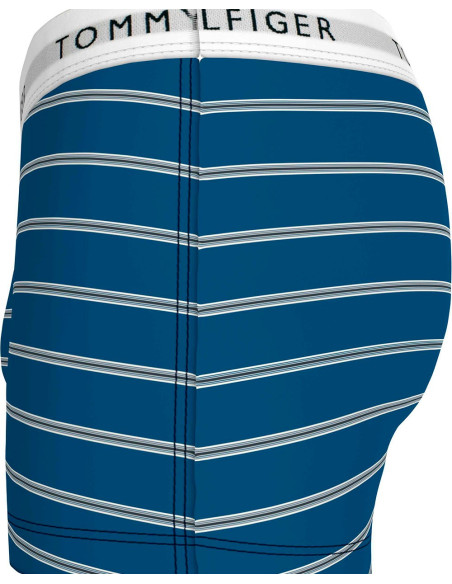 TOMMY HILFIGER UM0UM02768 - Boxers