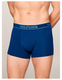 TOMMY HILFIGER UM0UM03413 - Boxer 2