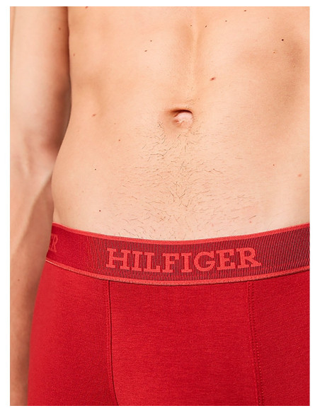 TOMMY HILFIGER UM0UM03413 - Boxers