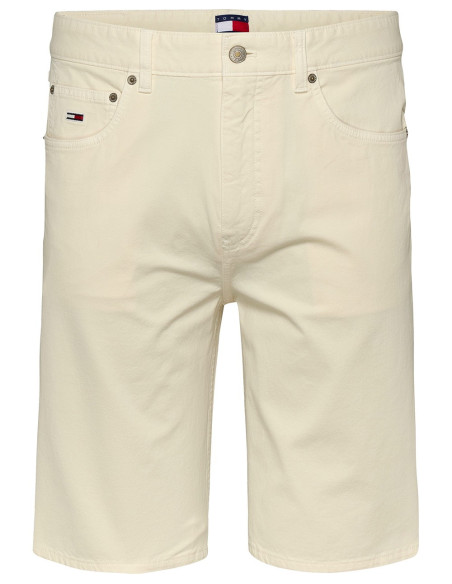 TOMMY HILFIGER DM0DM21953 - Shorts