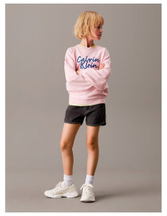 CALVIN KLEIN IG0IG02891 - Short en jean 2