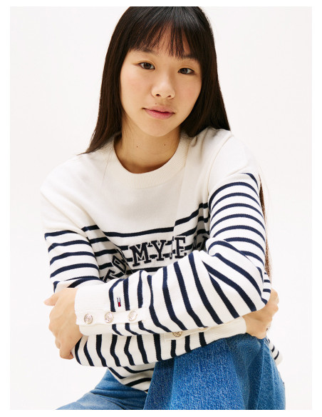 TOMMY HILFIGER DW0DW20251 - Sudadera