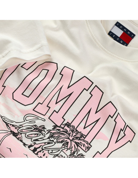 TOMMY HILFIGER DW0DW21343 - Camiseta