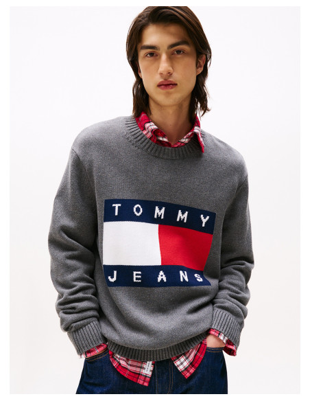 TOMMY HILFIGER DM0DM22105 - Jersey