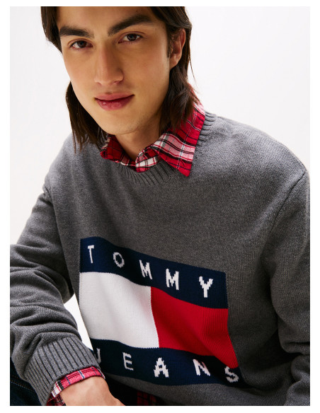 TOMMY HILFIGER DM0DM22105 - Sweater