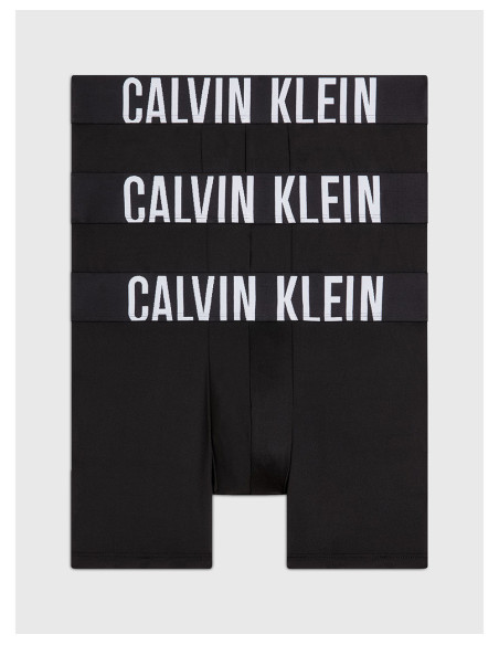 CALVIN KLEIN 000NB3612A - Boxer