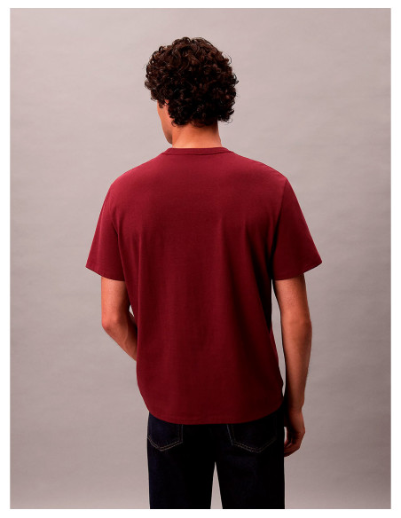 CALVIN KLEIN LV04RB862G - Camiseta