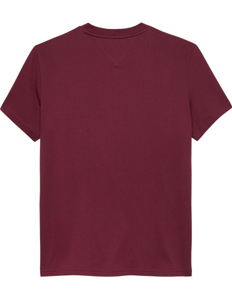 TOMMY HILFIGER DM0DM22049 - Camiseta