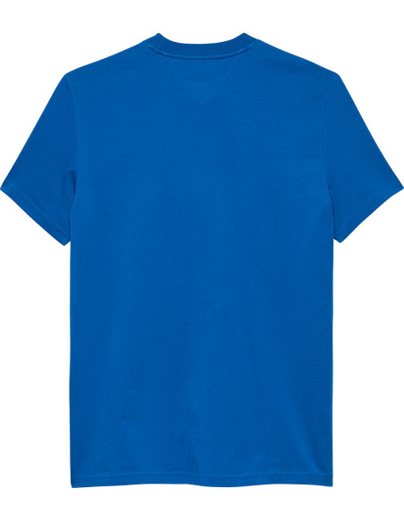 TOMMY HILFIGER DM0DM22049 - Camiseta