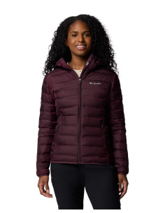 Jaqueta com capuz Columbia Lake 22 II Down - Jaqueta
