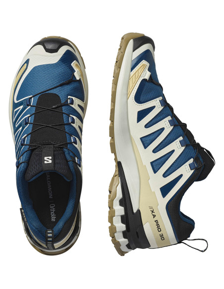SALOMON XA PRO 3D V9 GTX - Scarpe