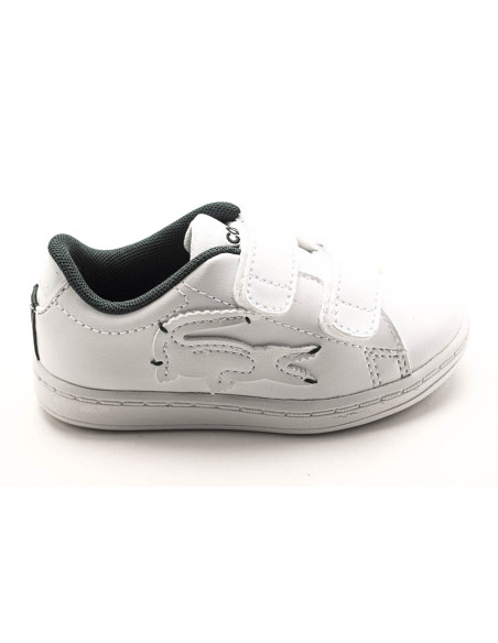 Scarpe top lacoste bimbo
