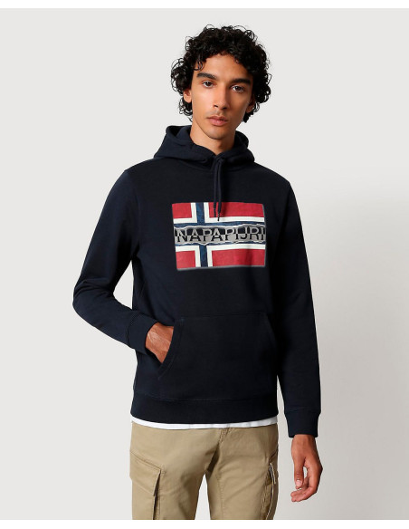 NAPAPIJRI NP0A4FQYGE41 - Sweat