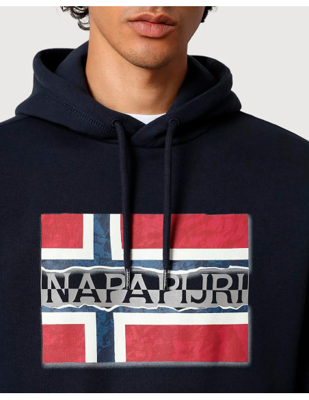 NAPAPIJRI NP0A4FQYGE41 - Sweat